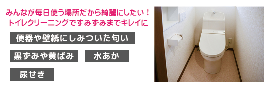 みんなが毎日使う場所だからトイレクリーニングで綺麗に